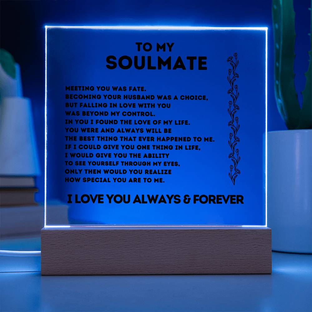 To My Soulmate, Meeting You Was Fate,  Acrylic Square Plaque.