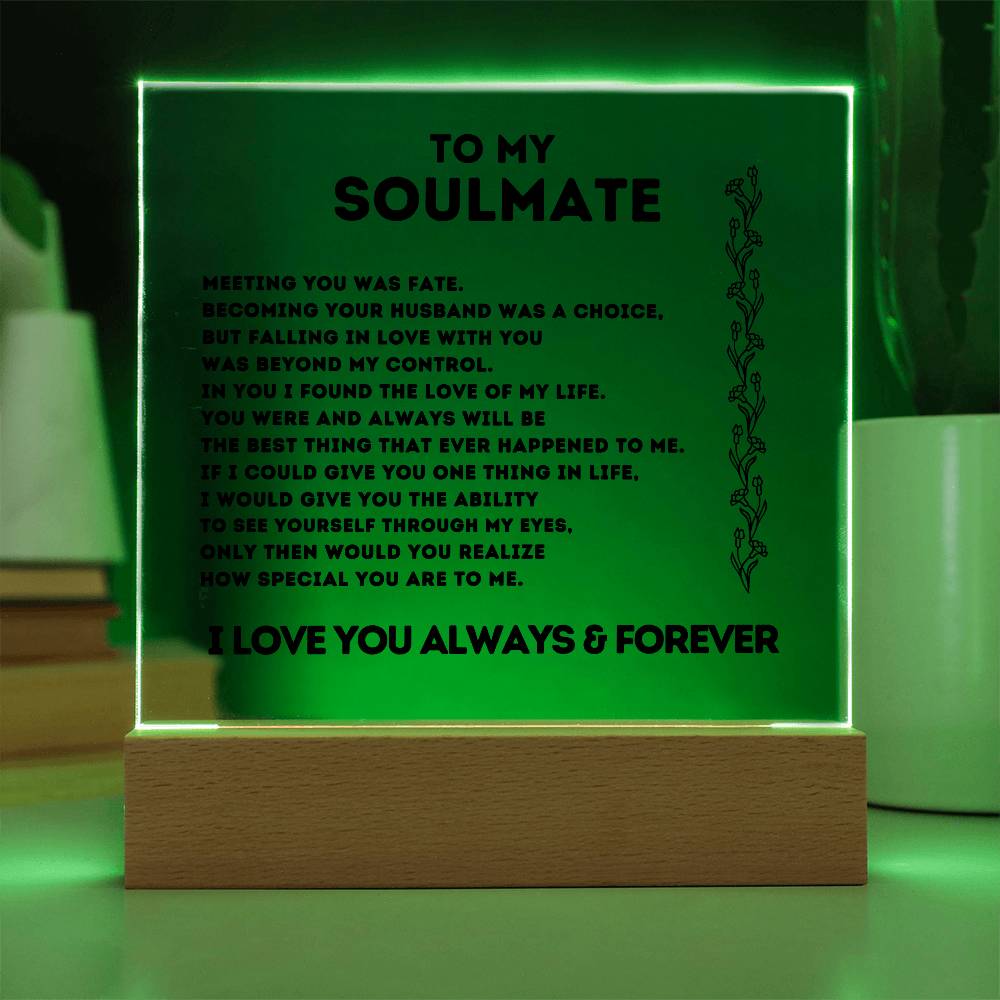 To My Soulmate, Meeting You Was Fate,  Acrylic Square Plaque.