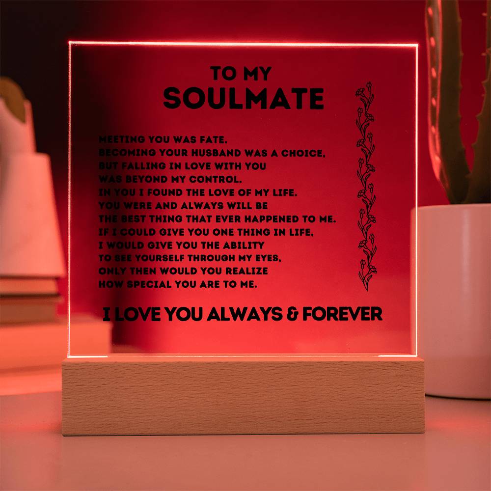 To My Soulmate, Meeting You Was Fate,  Acrylic Square Plaque.