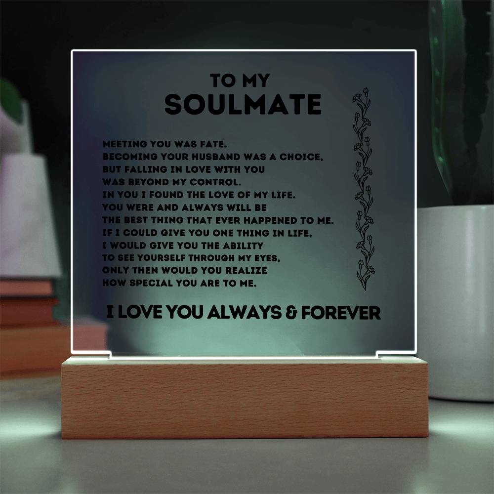 To My Soulmate, Meeting You Was Fate,  Acrylic Square Plaque.